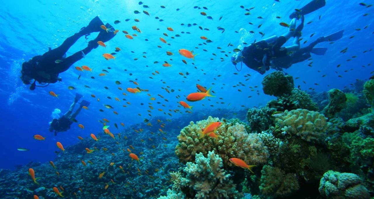 Amora Villa Quần đảo Gili Ngoại thất bức ảnh