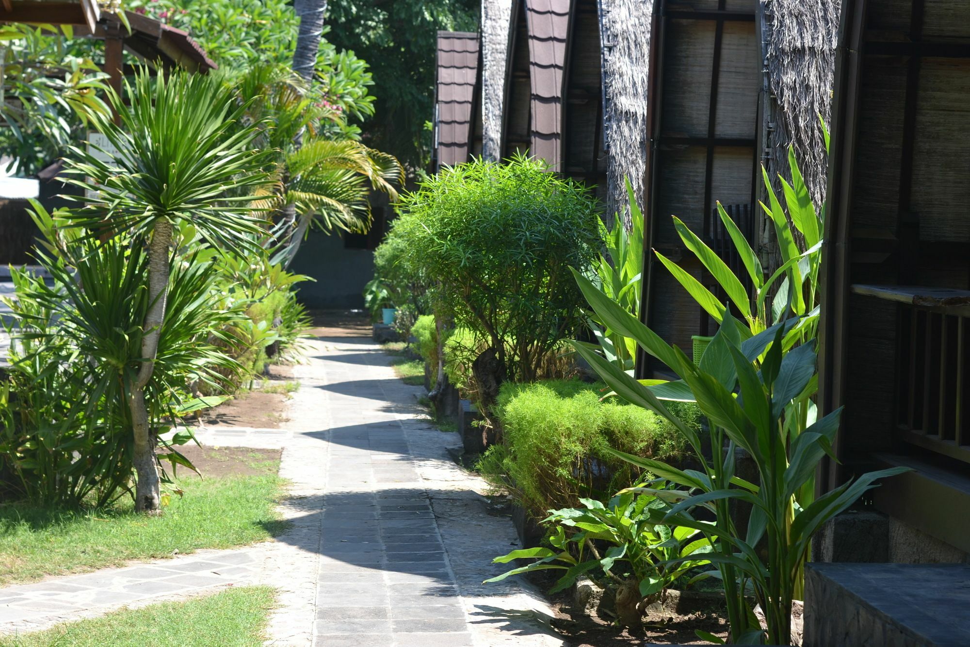 Amora Villa Quần đảo Gili Ngoại thất bức ảnh